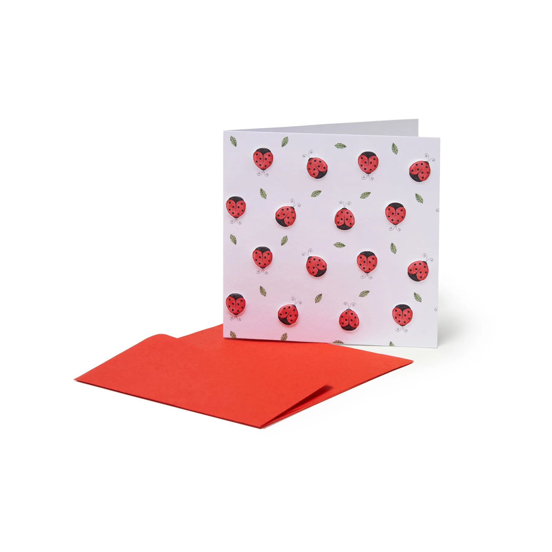 Legami Karten Für Jede Gelegenheit*Kärtchen für jeden Anlass - Ladybug