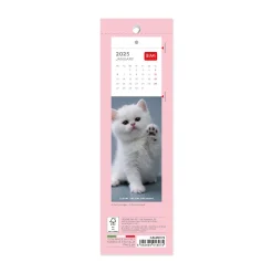 Legami Lesezeichen-Kalender*Lesezeichen-Kalender 2025 - 5,5 x 18 cm