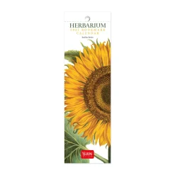 Legami Lesezeichen-Kalender*Lesezeichen-Kalender 2025 - 5,5 x 18 cm