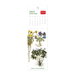 Legami Lesezeichen-Kalender*Lesezeichen-Kalender 2025 - 5,5 x 18 cm