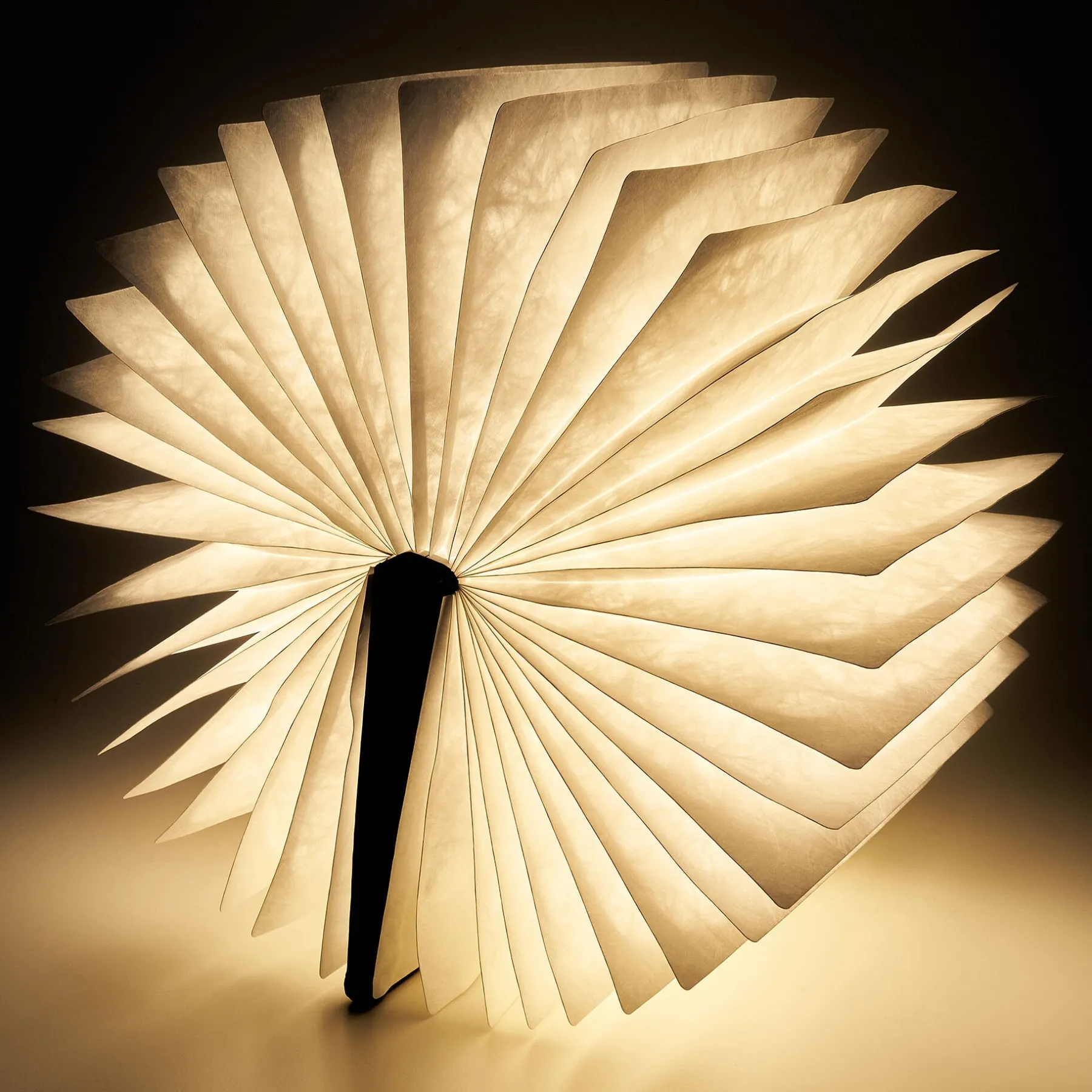 Legami Lampen*Leuchtendes Buch Large - Light Book