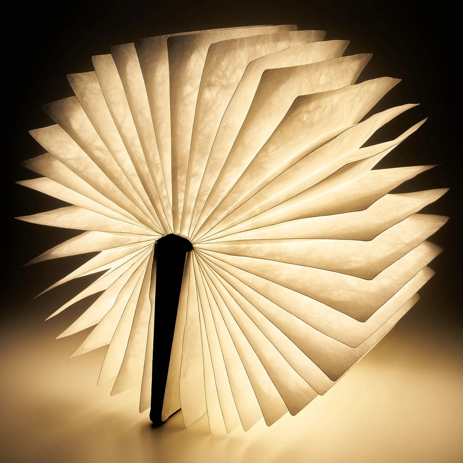 Legami Lampen*Leuchtendes Buch Large - Light Book