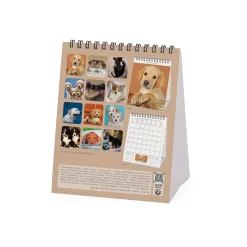 Legami Tischkalender*Tischkalender 2025 - 12 x 14,5 cm