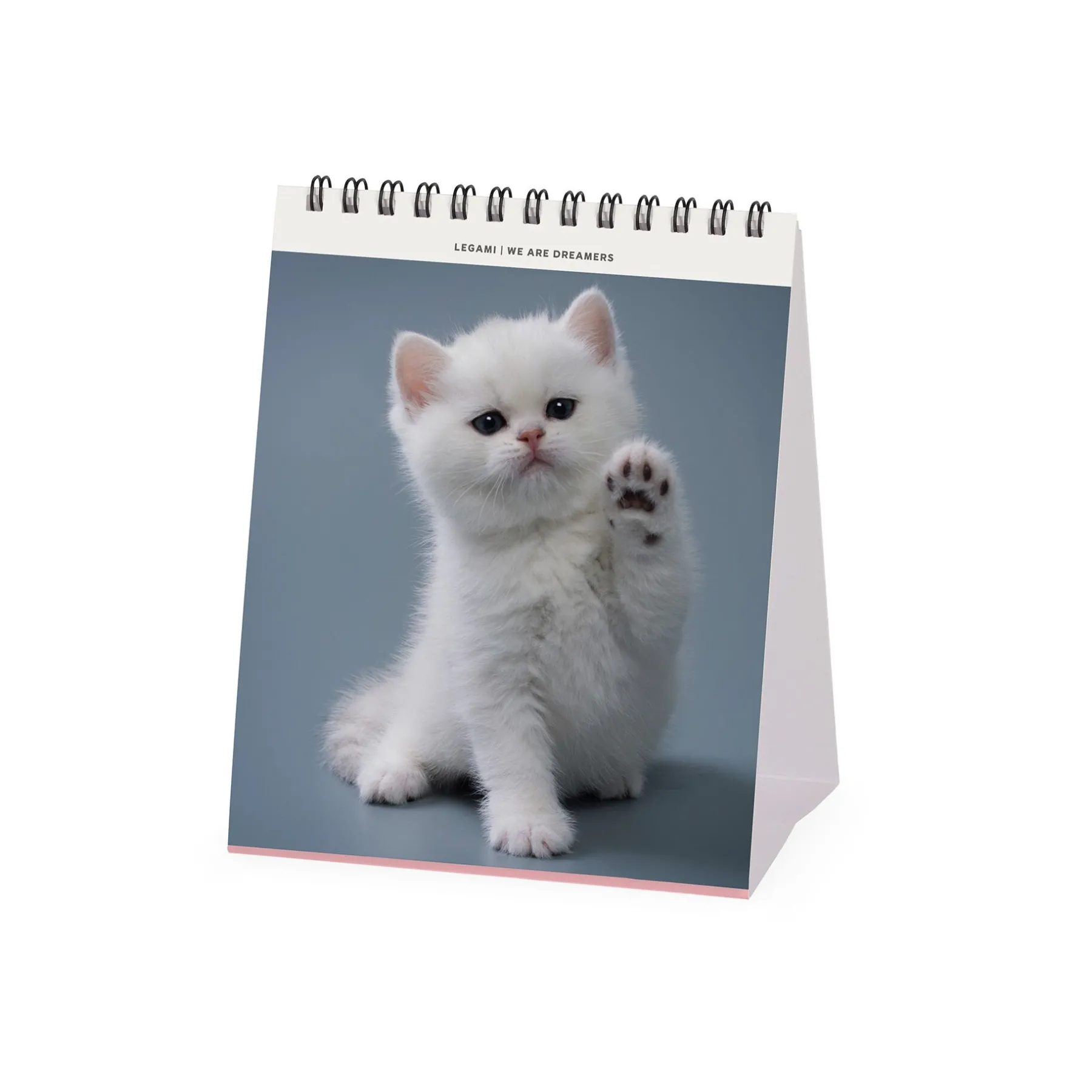 Legami Tischkalender*Tischkalender 2025 - 12 x 14,5 cm
