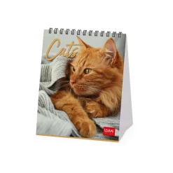 Legami Tischkalender*Tischkalender 2025 - 12 x 14,5 cm