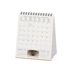 Legami Tischkalender*Tischkalender 2025 - 12 x 14,5 cm