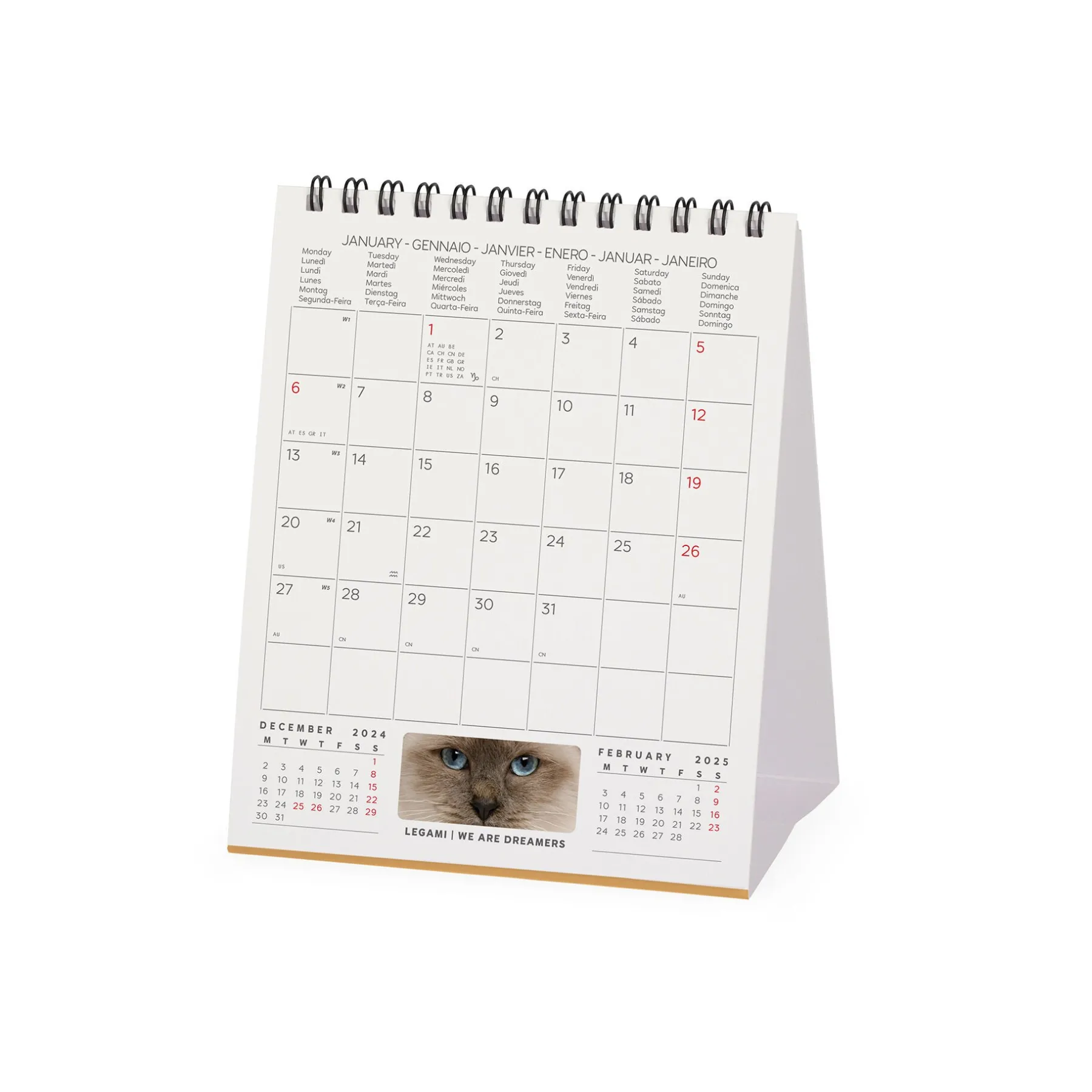 Legami Tischkalender*Tischkalender 2025 - 12 x 14,5 cm