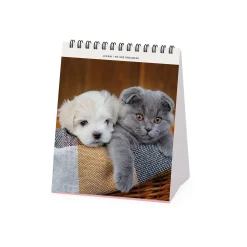 Legami Tischkalender*Tischkalender 2025 - 12 x 14,5 cm