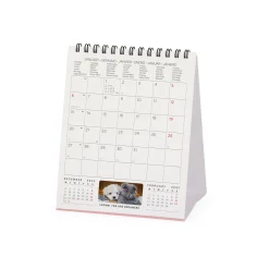 Legami Tischkalender*Tischkalender 2025 - 12 x 14,5 cm