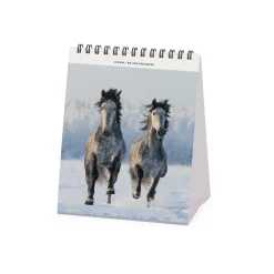 Legami Tischkalender*Tischkalender 2025 - 12 x 14,5 cm