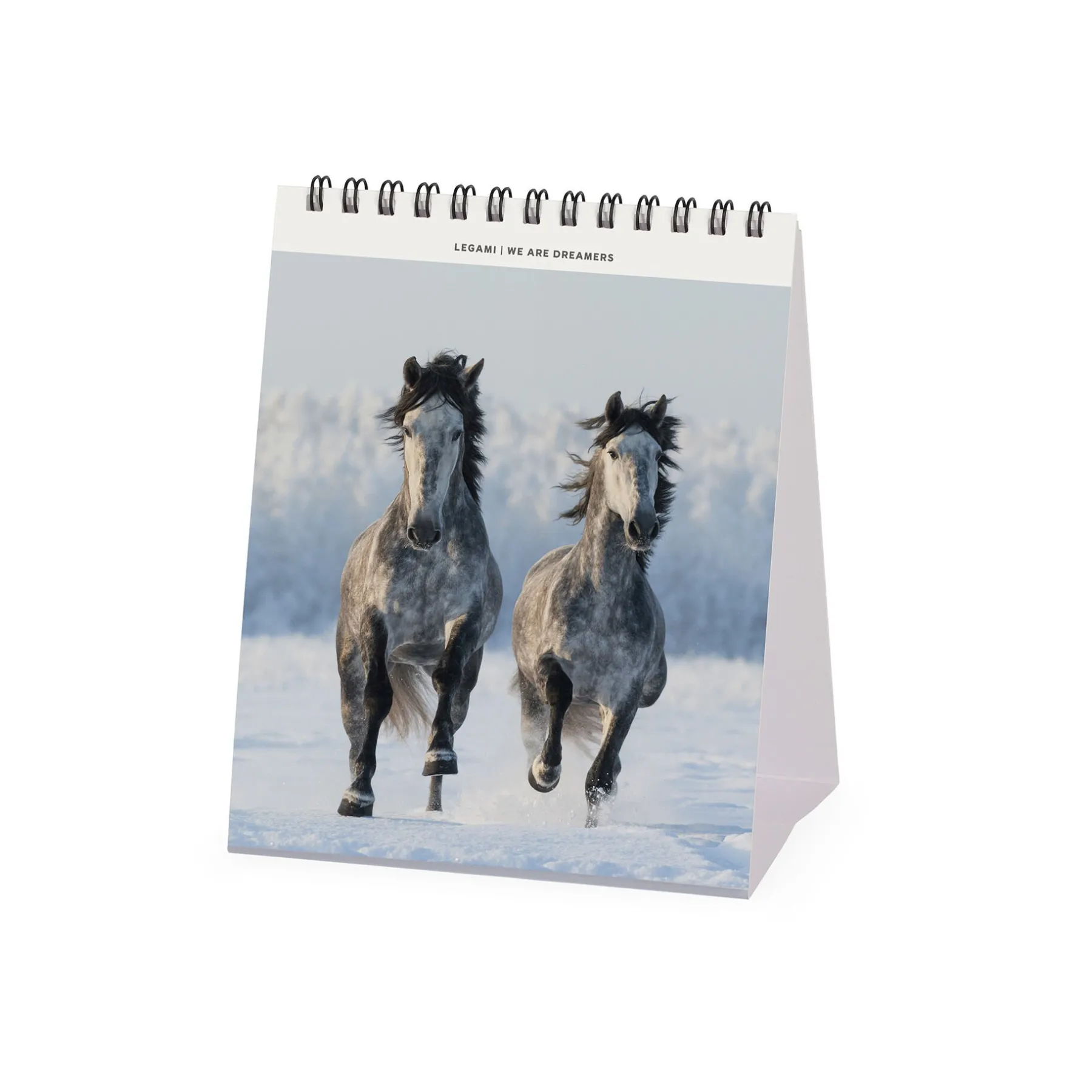 Legami Tischkalender*Tischkalender 2025 - 12 x 14,5 cm