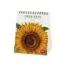 Legami Tischkalender*Tischkalender 2025 - 12 x 14,5 cm