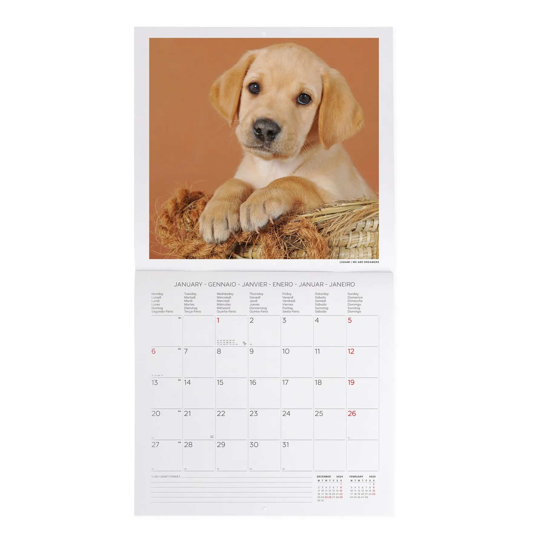 Legami Wandkalender*Wandkalender 2025 - 30 x 29 cm