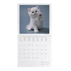 Legami Wandkalender*Wandkalender 2025 - 30 x 29 cm