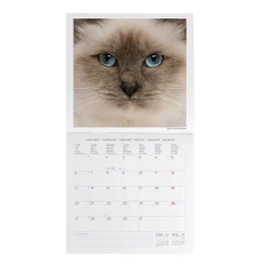Legami Wandkalender*Wandkalender 2025 - 30 x 29 cm