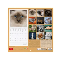 Legami Wandkalender*Wandkalender 2025 - 30 x 29 cm