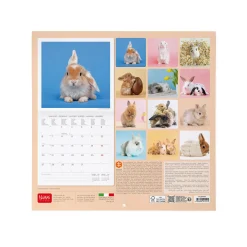 Legami Wandkalender*Wandkalender 2025 - 30 x 29 cm