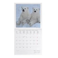 Legami Wandkalender*Wandkalender 2025 - 30 x 29 cm