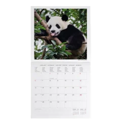 Legami Wandkalender*Wandkalender 2025 - 30 x 29 cm
