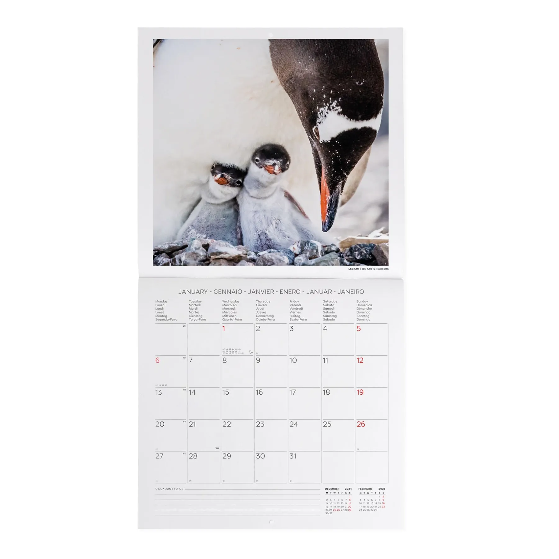 Legami Wandkalender*Wandkalender 2025 - 30 x 29 cm