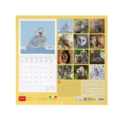 Legami Wandkalender*Wandkalender 2025 - 30 x 29 cm