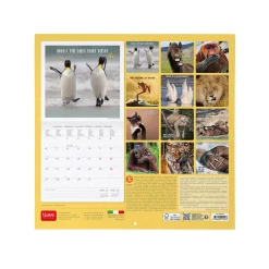 Legami Wandkalender*Wandkalender 2025 - 30 x 29 cm