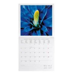 Legami Wandkalender*Wandkalender 2025 - 30 x 29 cm