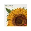 Legami Wandkalender*Wandkalender 2025 - 30 x 29 cm