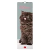 Legami Wandkalender*Wandkalender 2025 - 16 x 49 cm