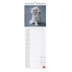 Legami Wandkalender*Wandkalender 2025 - 16 x 49 cm