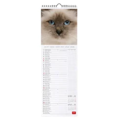 Legami Wandkalender*Wandkalender 2025 - 16 x 49 cm