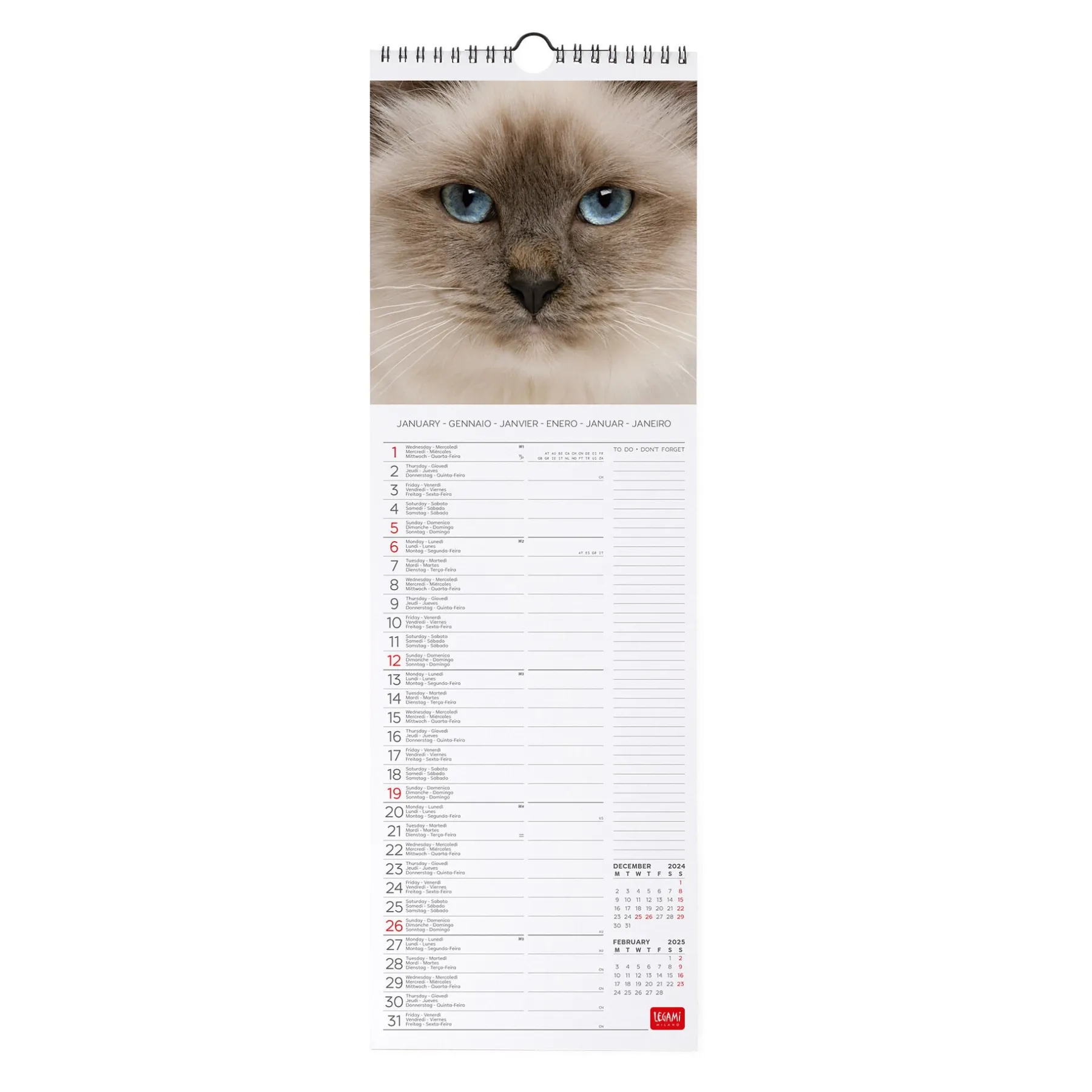 Legami Wandkalender*Wandkalender 2025 - 16 x 49 cm