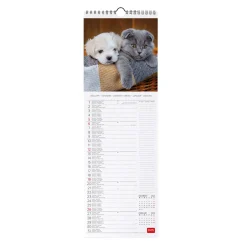 Legami Wandkalender*Wandkalender 2025 - 16 x 49 cm