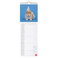 Legami Wandkalender*Wandkalender 2025 - 16 x 49 cm