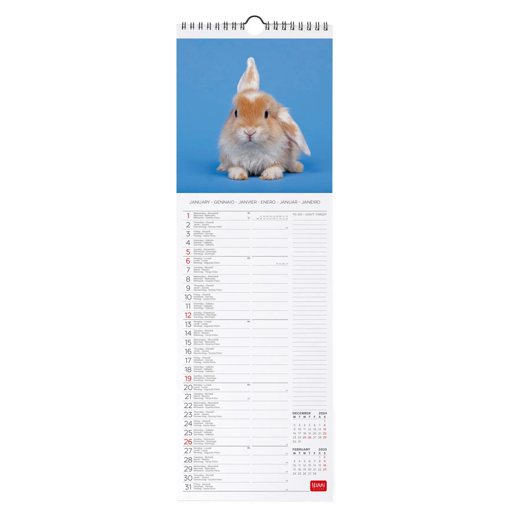Legami Wandkalender*Wandkalender 2025 - 16 x 49 cm