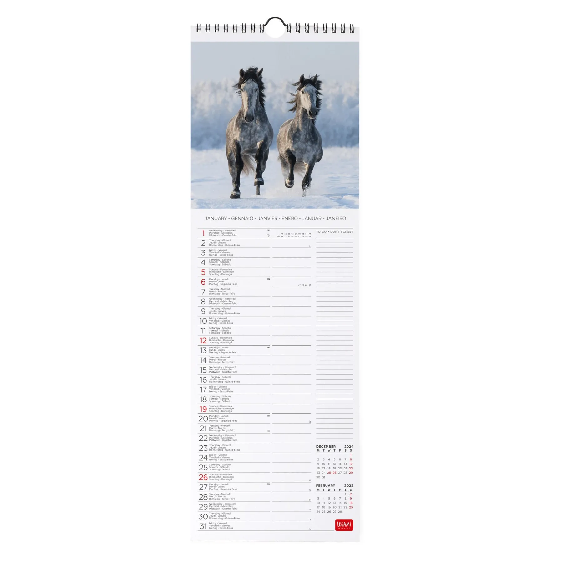 Legami Wandkalender*Wandkalender 2025 - 16 x 49 cm
