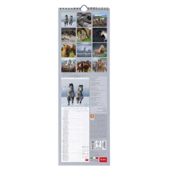 Legami Wandkalender*Wandkalender 2025 - 16 x 49 cm