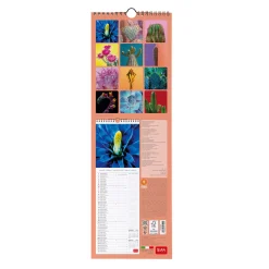 Legami Wandkalender*Wandkalender 2025 - 16 x 49 cm