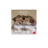 Legami Wandkalender*Wandkalender 2025 - 18 x 18 cm