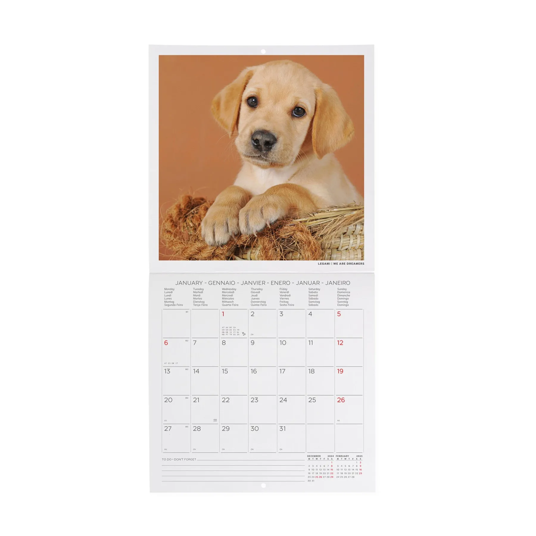 Legami Wandkalender*Wandkalender 2025 - 18 x 18 cm