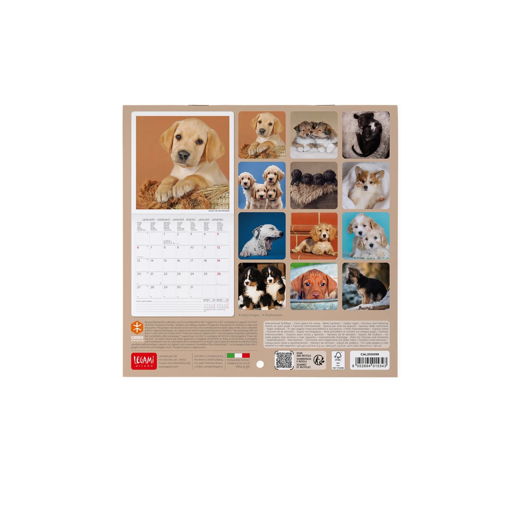 Legami Wandkalender*Wandkalender 2025 - 18 x 18 cm