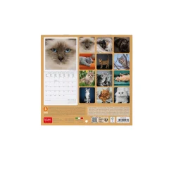 Legami Wandkalender*Wandkalender 2025 - 18 x 18 cm