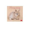 Legami Wandkalender*Wandkalender 2025 - 18 x 18 cm