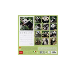 Legami Wandkalender*Wandkalender 2025 - 18 x 18 cm