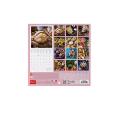 Legami Wandkalender*Wandkalender 2025 - 18 x 18 cm