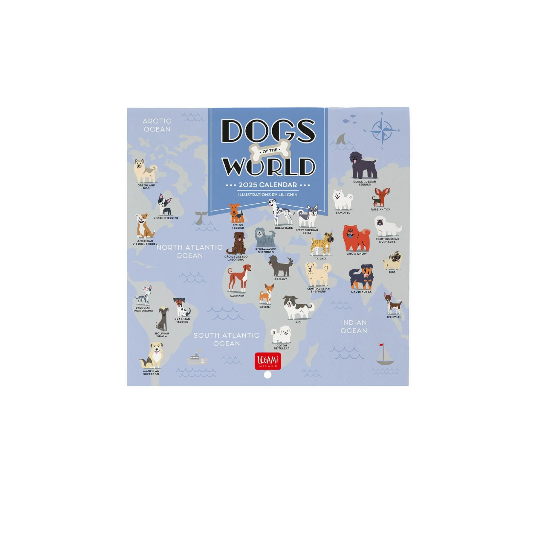 Legami Wandkalender*Wandkalender 2025 - 18 x 18 cm