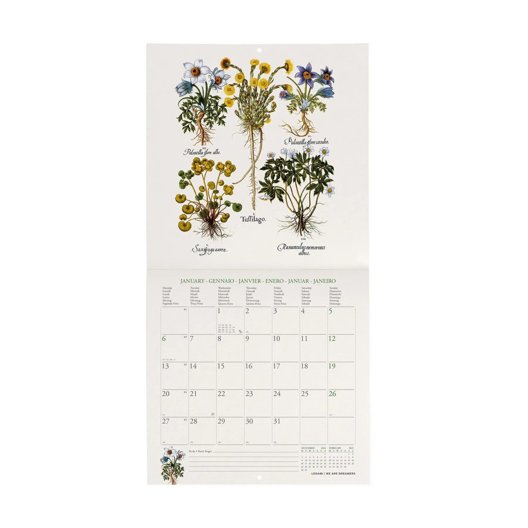 Legami Wandkalender*Wandkalender 2025 - 18 x 18 cm
